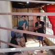 Polícia encontra idosos presos em ‘cela’ em Itapecerica da Serra (SP) (Reprodução)